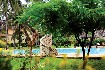 Hotel Neptune Pwani Beach Resort (fotografie 4)