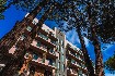 Hotel Pinea (fotografie 2)
