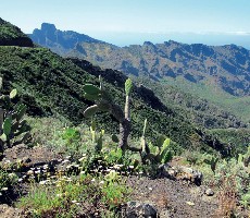 Tenerife s trekingem - turistika mezi sopkami a exotickými soutěskami