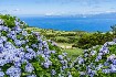 Nespoutané Azorské ostrovy (fotografie 2)
