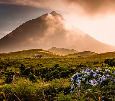To nejlepší z Azorských ostrovů + koupání v lávových jezírkách