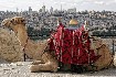 Prodloužený víkend v Jeruzalémě (fotografie 3)