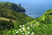 Azorské ostrovy, 15 dní, 5 ostrovů (fotografie 4)