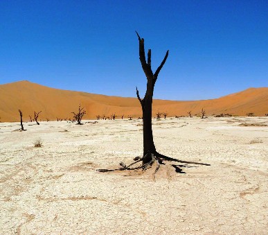 Namibie - vzpomínky na Afriku