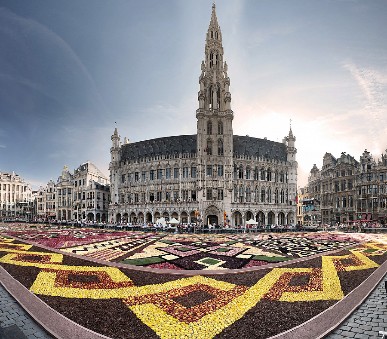 To nejlepší z Belgie + květinový koberec + Waterloo
