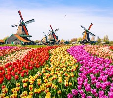 Květinový park Keukenhof s návštěvou Amsterdamu