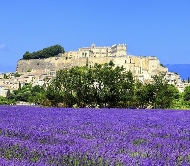 Francouzská riviéra - levandulová vůně Provence