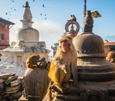 Královská města Nepálu ve stínu Himalájí