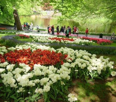 Květinové korzo - Keukenhof a Amsterdam