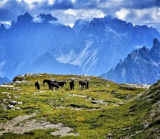 Dolomity a Jižní Tyrolsko - dobrodružství v srdci přírody