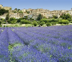 Francie - kouzlo staré Provence