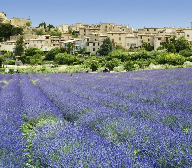 Francie - kouzlo staré Provence