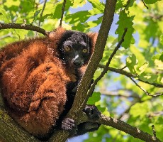 Přírodní krásy Madagaskaru 